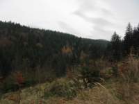 img_3504_small.jpg