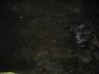 img_3508_small.jpg