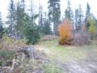 p1030551_small.jpg
