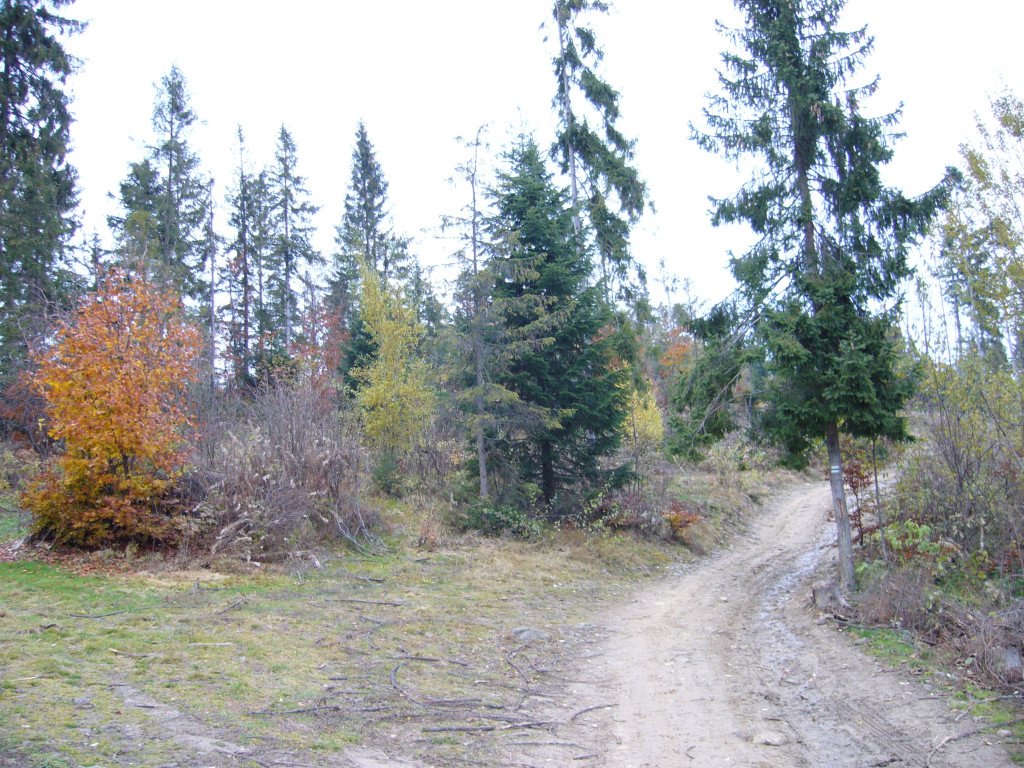 p1030552.jpg