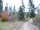 p1030552_small.jpg