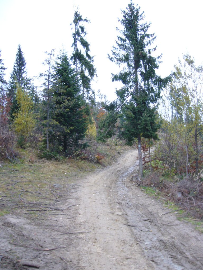 p1030553.jpg