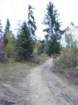p1030553_small.jpg