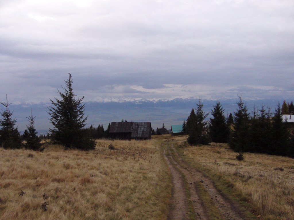 p1030571.jpg