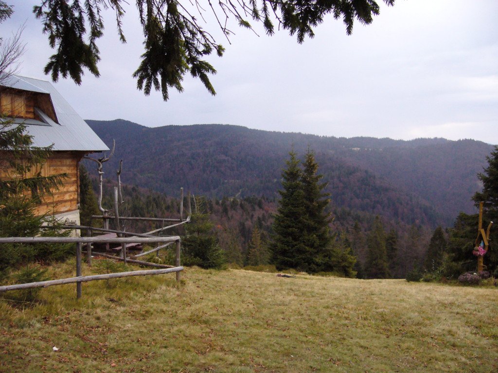 p1030574.jpg