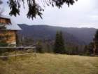 p1030574_small.jpg