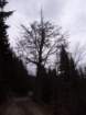 p1030589_small.jpg