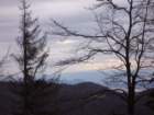 p1030592_small.jpg