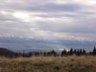 p1030610_small.jpg