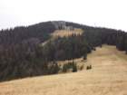 p1030614_small.jpg