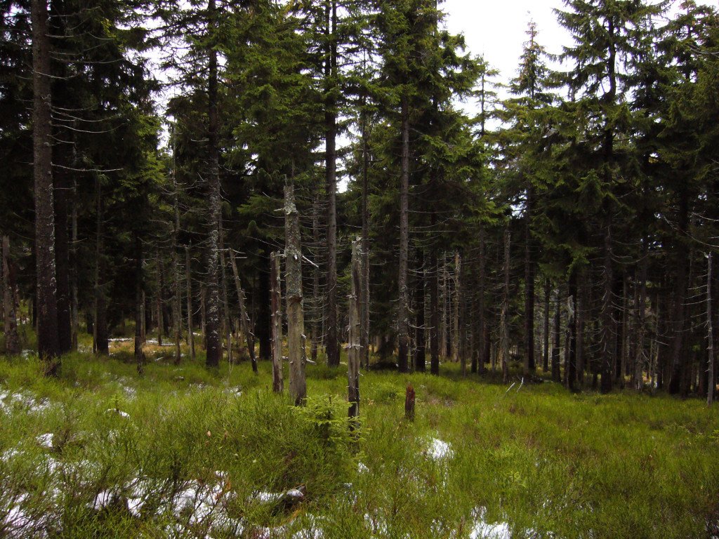 p1030622.jpg