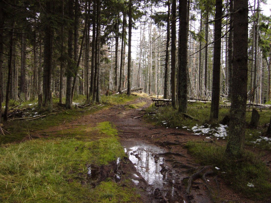 p1030636.jpg