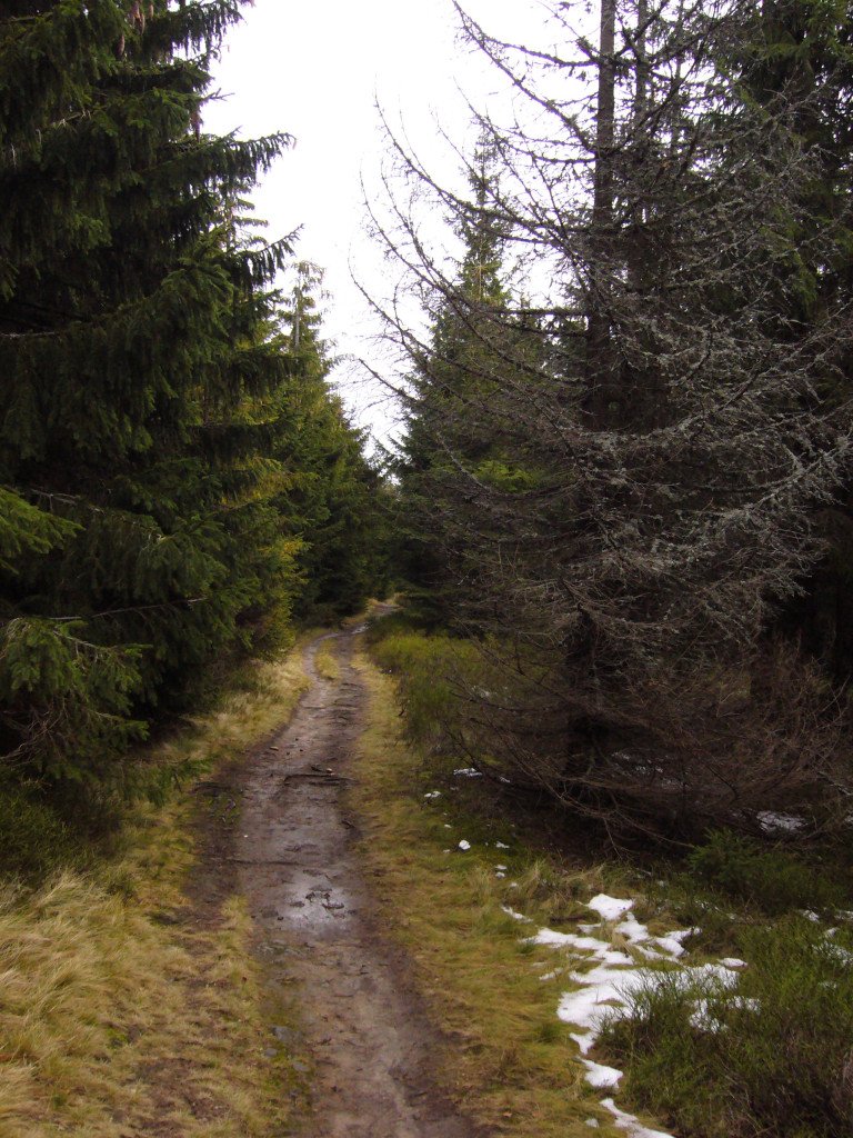 p1030639.jpg