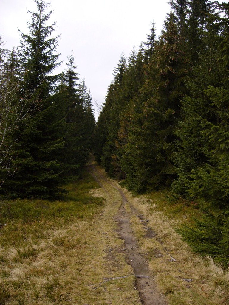 p1030658.jpg