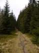 p1030658_small.jpg