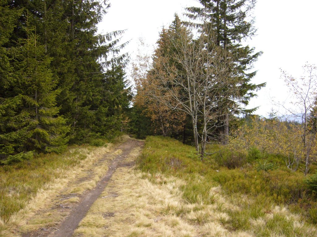 p1030659.jpg