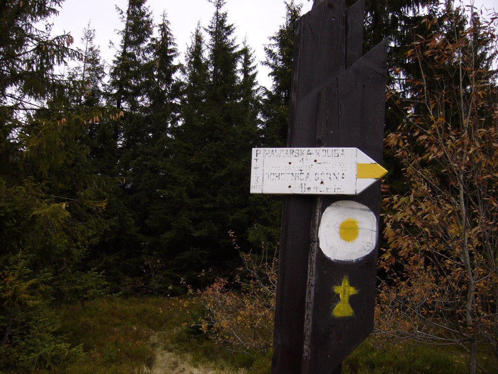 p1030660.jpg
