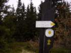 p1030660_small.jpg