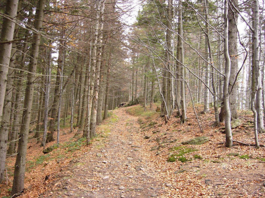 p1030663.jpg