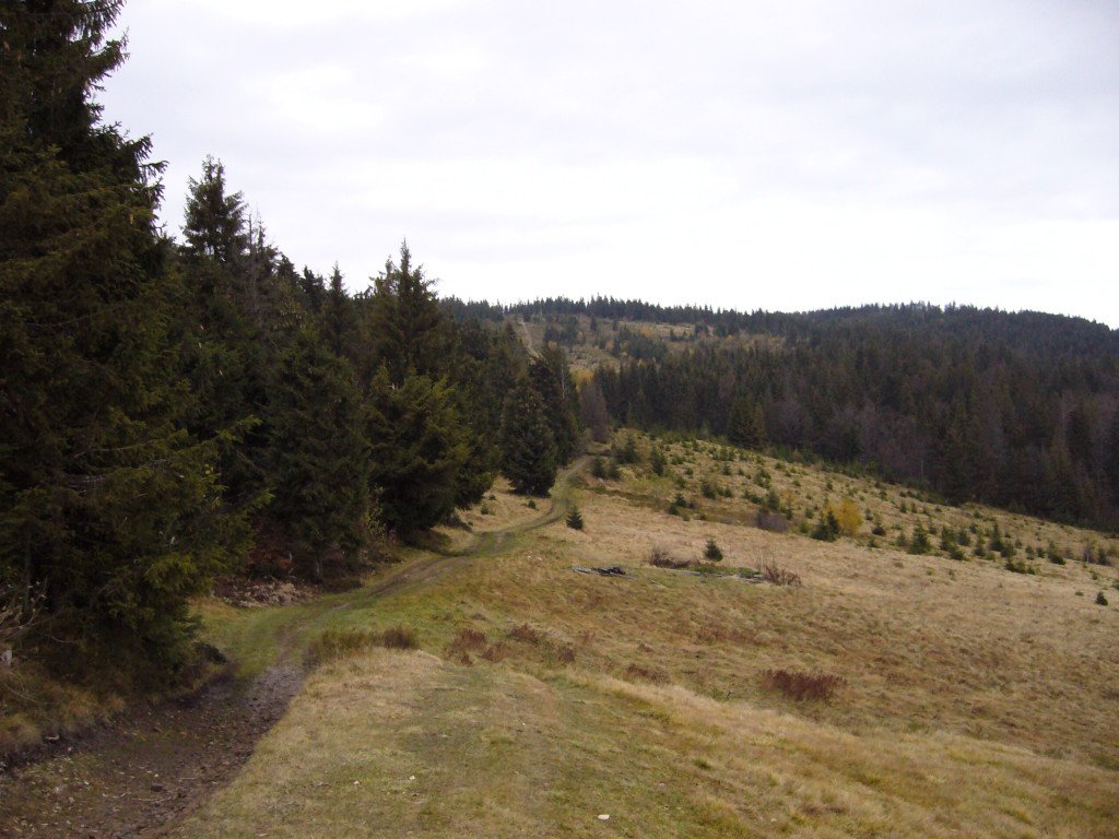 p1030676.jpg