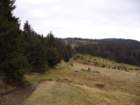 p1030676_small.jpg
