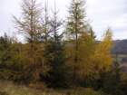 p1030680_small.jpg