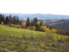 p1030682_small.jpg