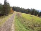 p1030684_small.jpg