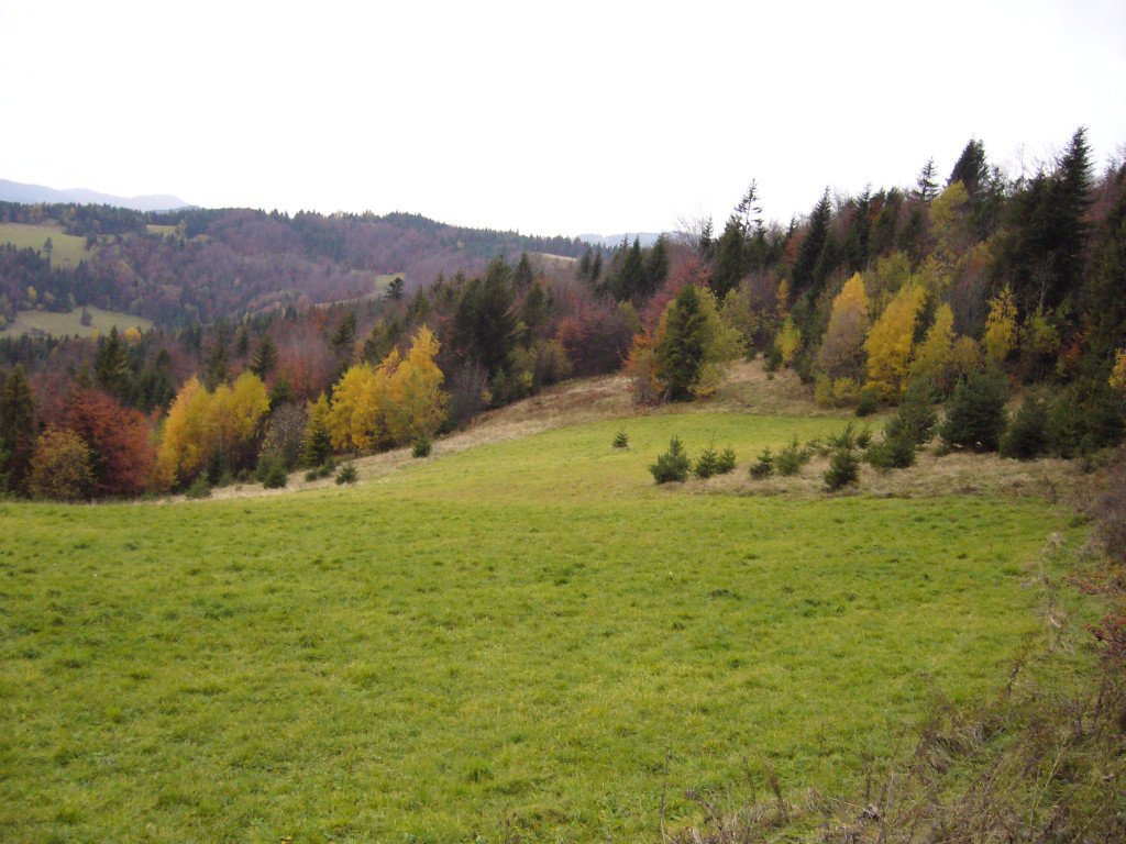 p1030686.jpg