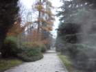p1030847_small.jpg
