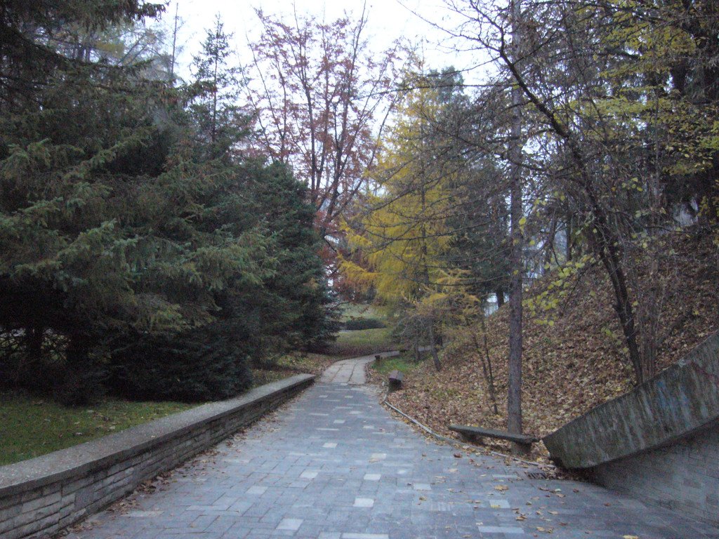 p1030853.jpg