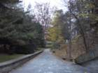 p1030853_small.jpg