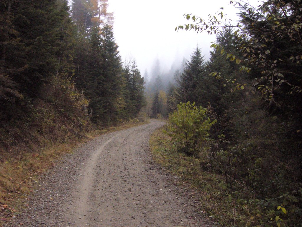 p1030887.jpg
