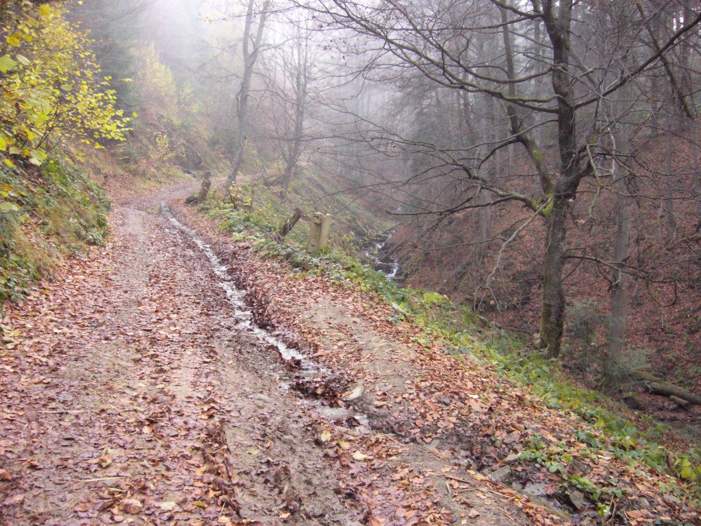 p1030892.jpg