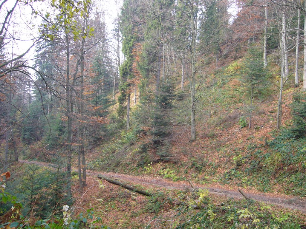 p1030901.jpg