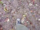 p1030902_small.jpg
