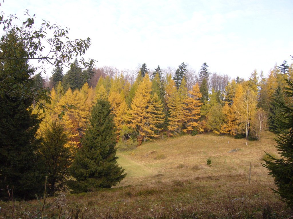 p1030925.jpg