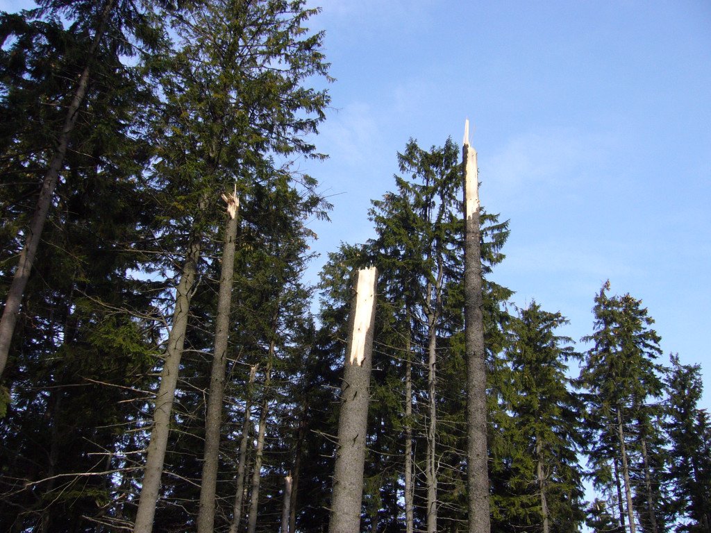 p1030938.jpg