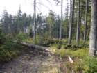 p1030940_small.jpg