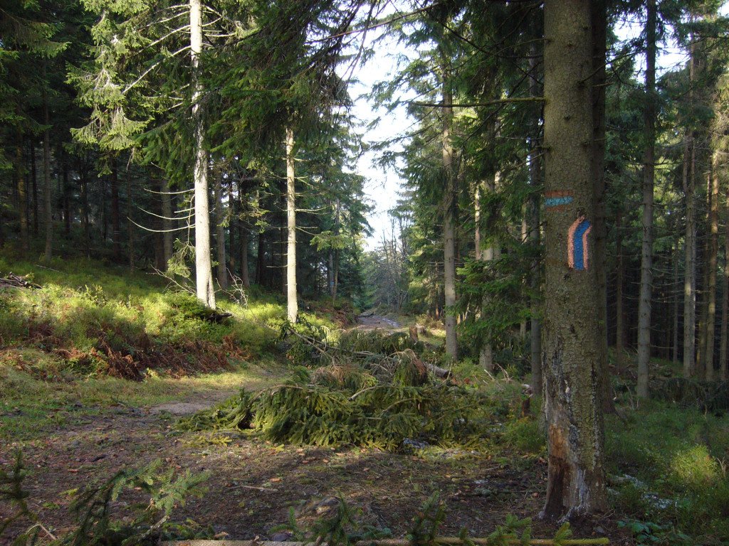 p1030944.jpg