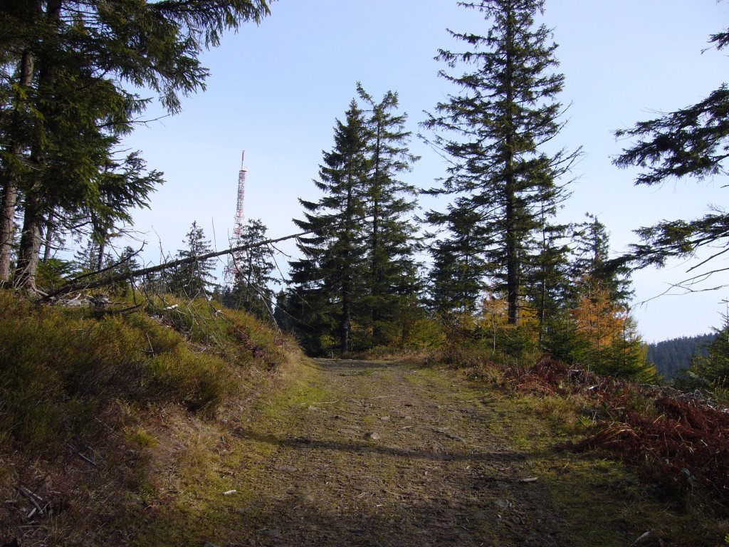 p1030950.jpg