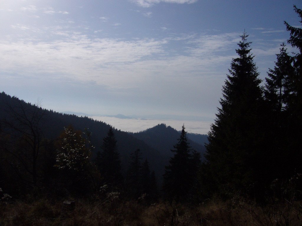 p1030957.jpg