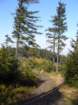 p1030969_small.jpg