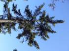 p1030977_small.jpg