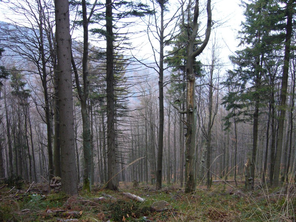 p1030999.jpg