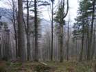 p1030999_small.jpg