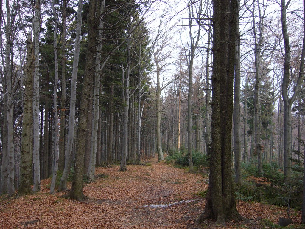 p1040001.jpg