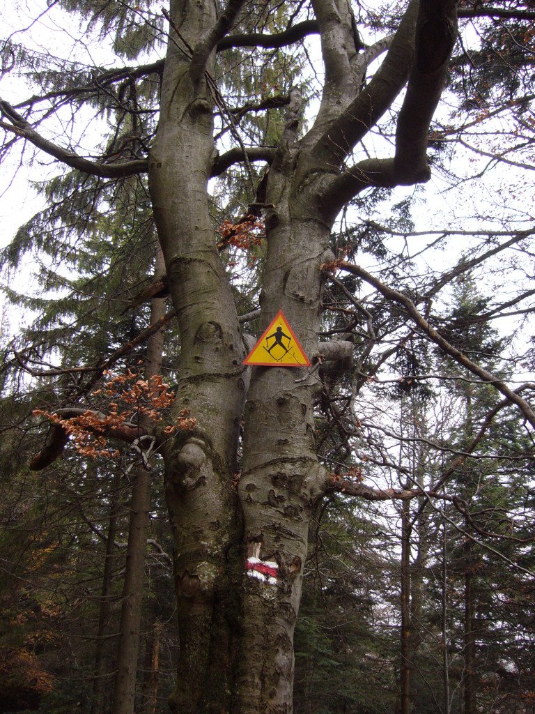 p1040003.jpg