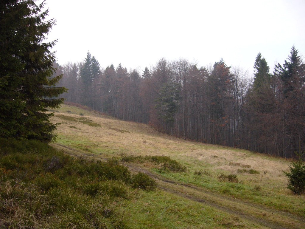 p1040005.jpg