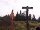 p1040008_small.jpg